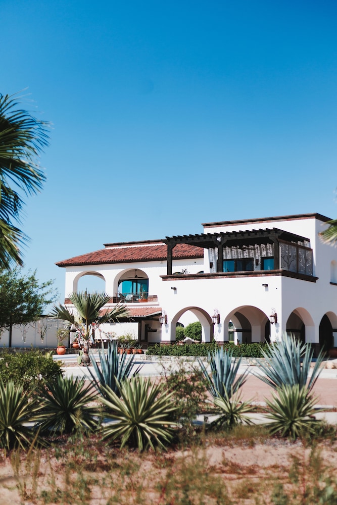 Orchid House Baja 1/50