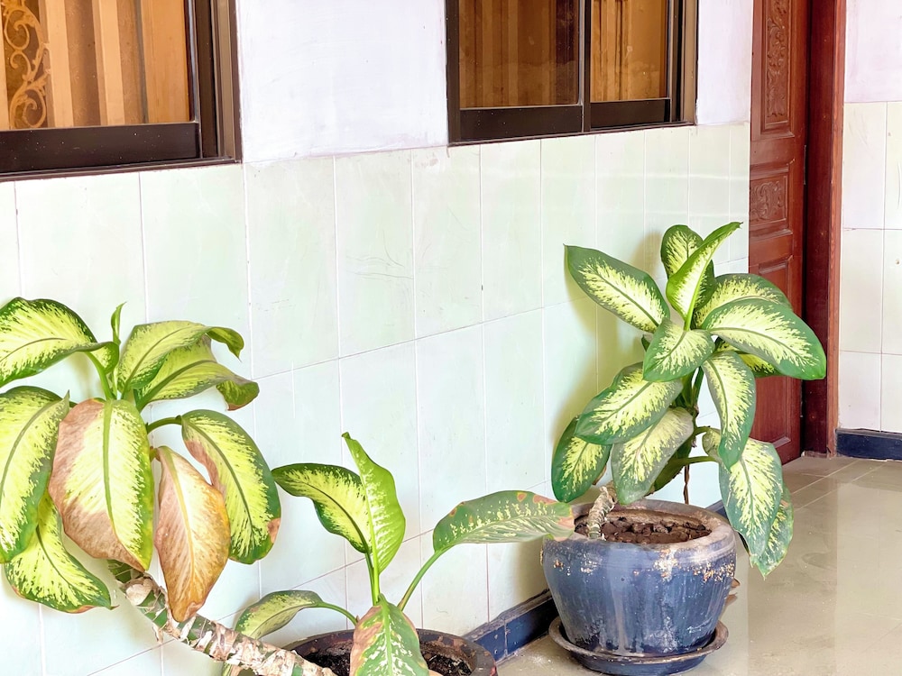 Rs Guesthouse 4/50