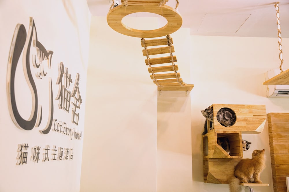 Cat Story Hotel 27/34
