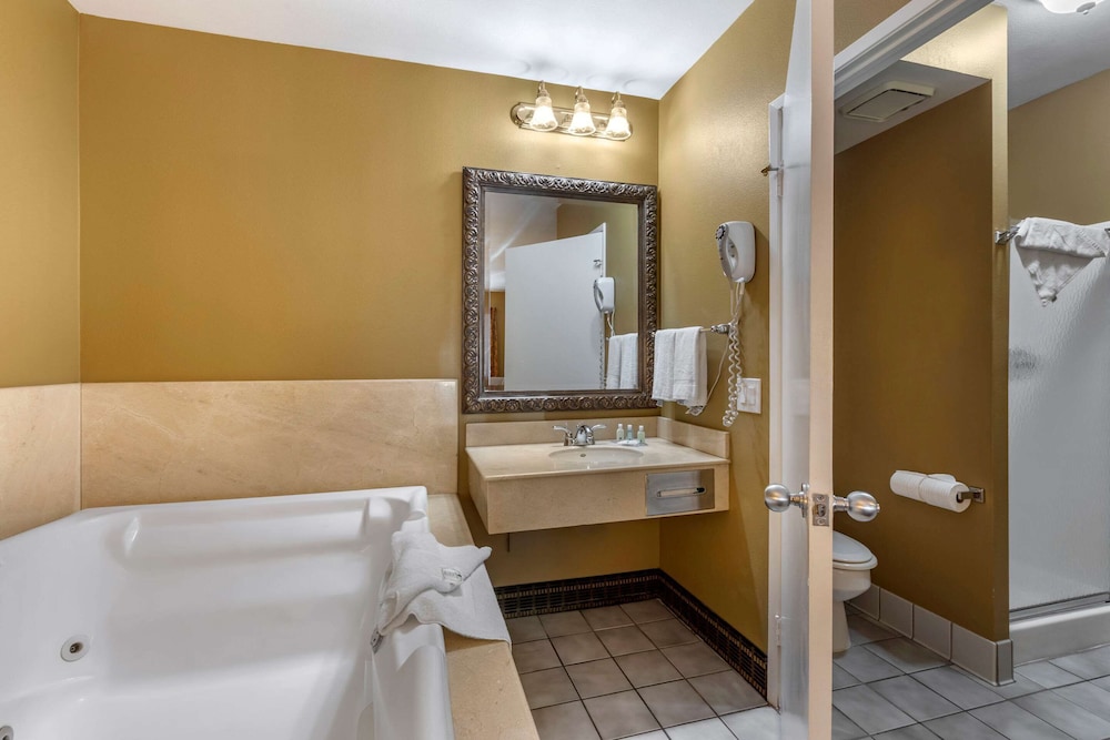 Quality Inn & Suites Westminster Seal Beach 14/37
