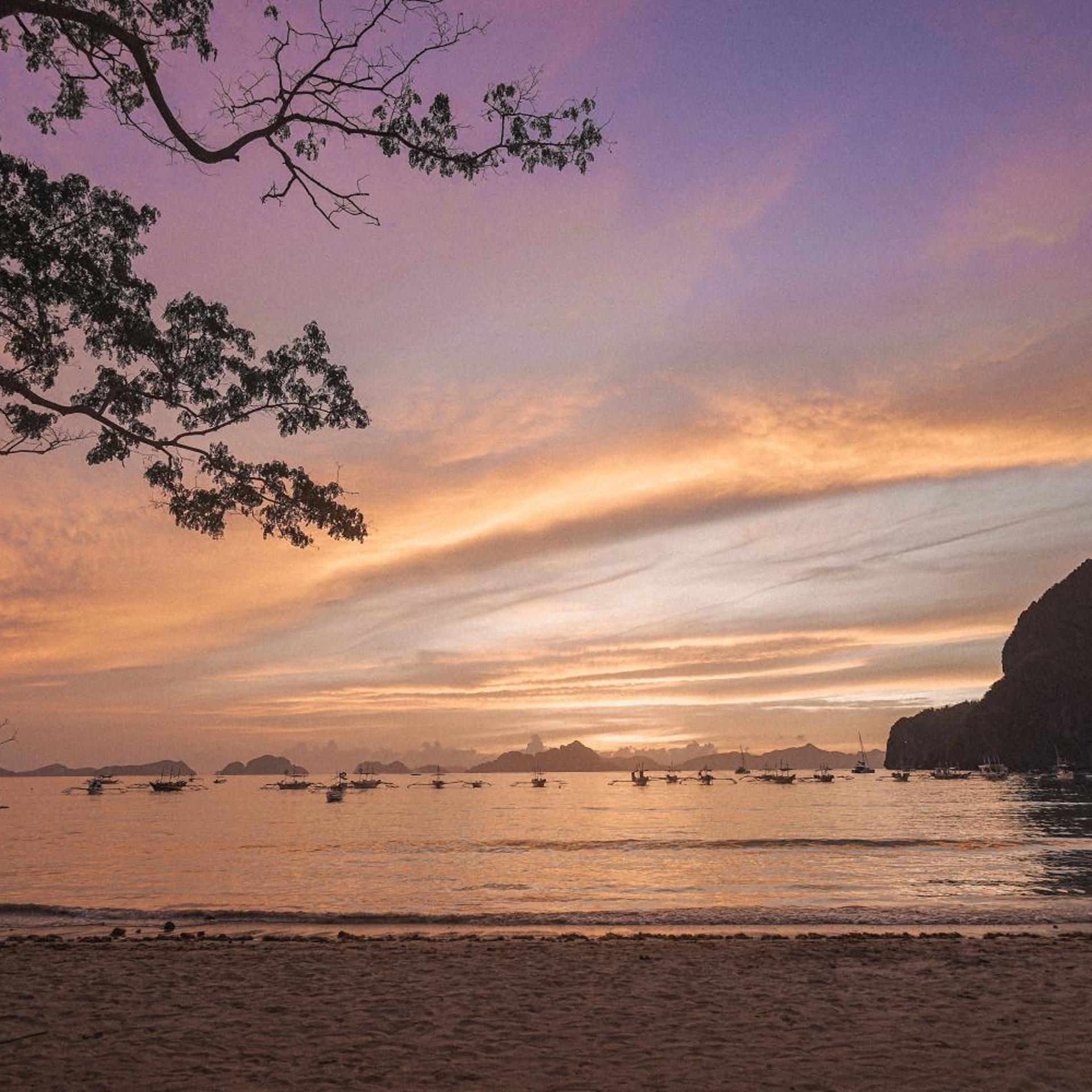 El Nido Greenwoods Beach Resort 44/50