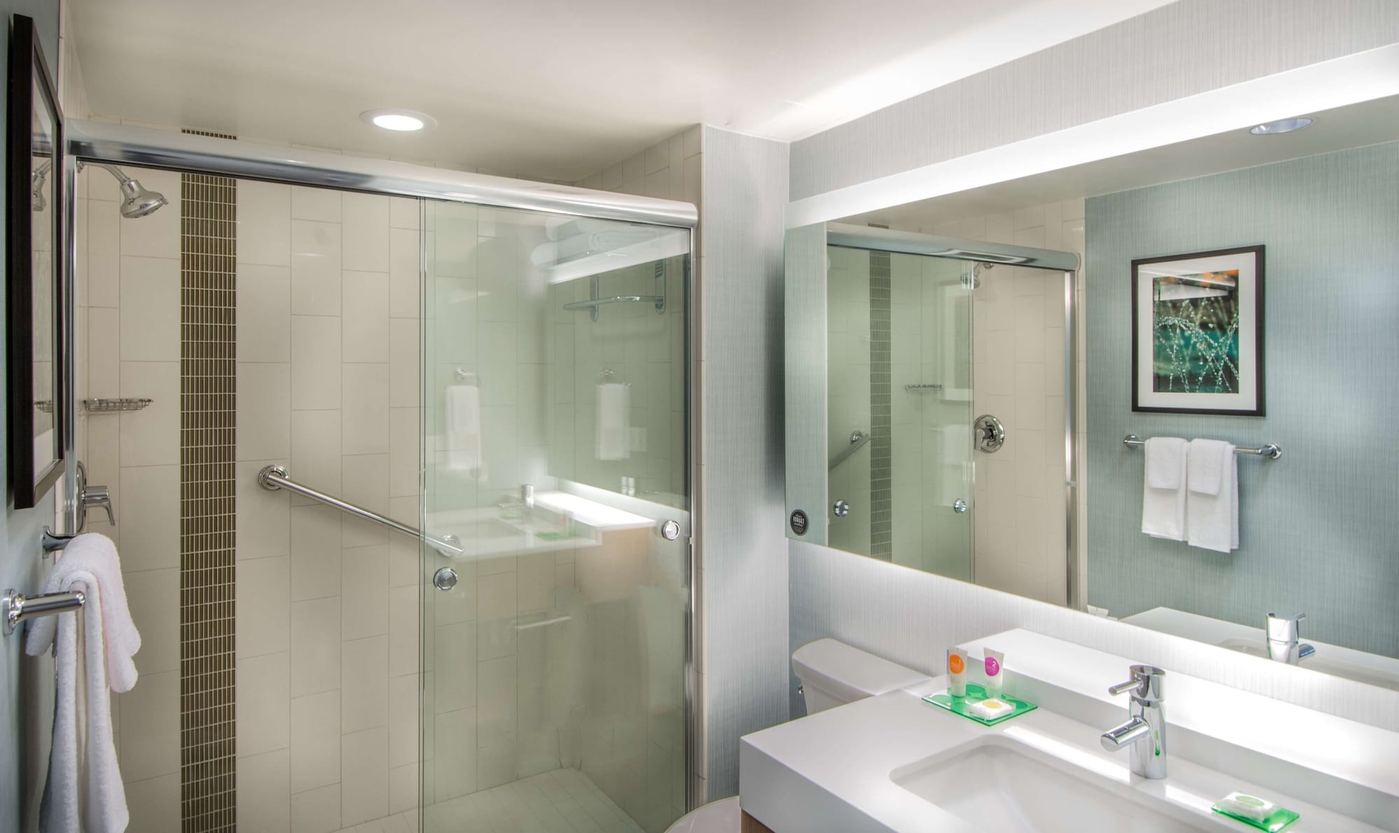 Specialty, King Bed, Sofa، HYATT PLACE WASHINGTON DC/NATIONAL MALL 5/5