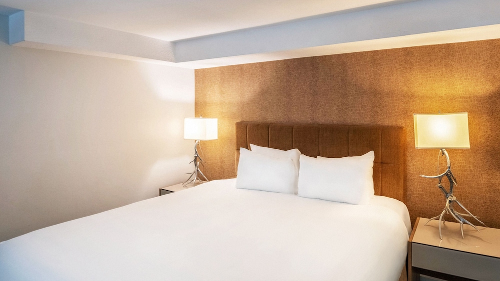 Executive Inn At Whistler Village 23/51