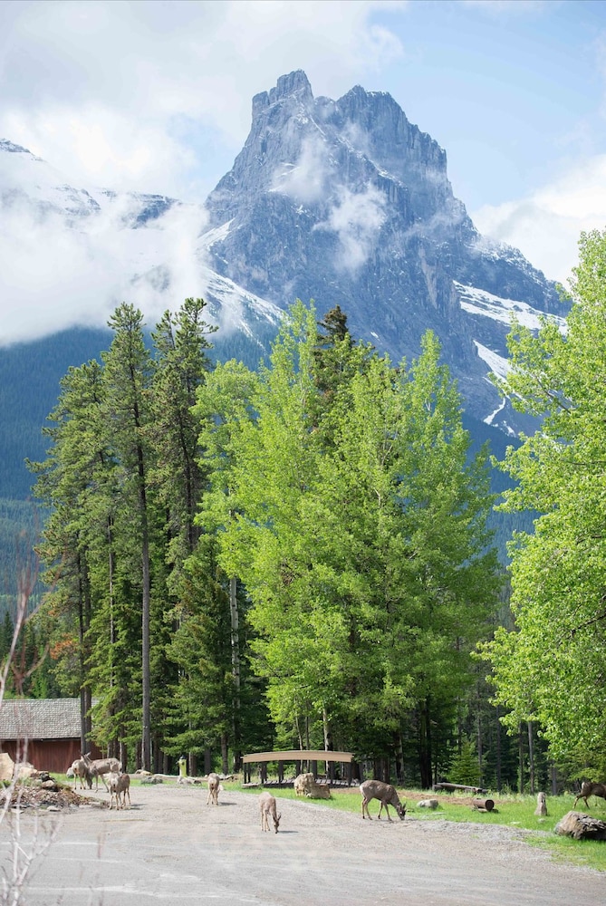 Banff Gate Mountain Resort 16/58