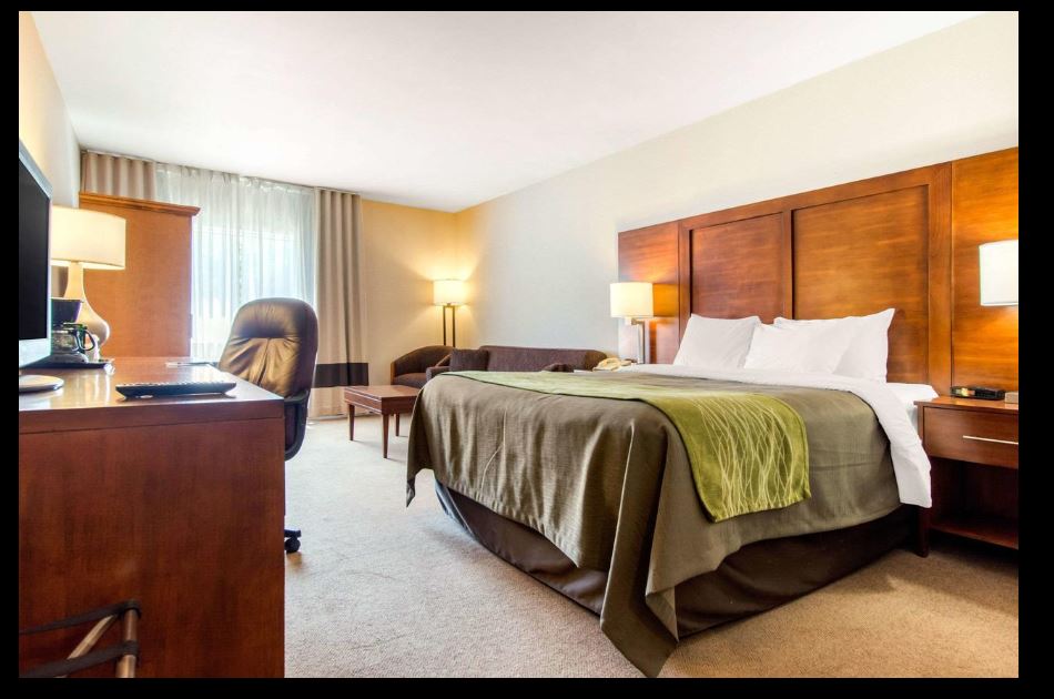 Suite, King Bed