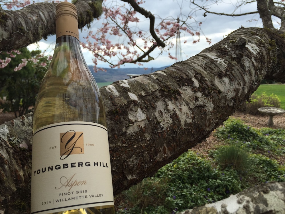 Youngberg Hill 34/66