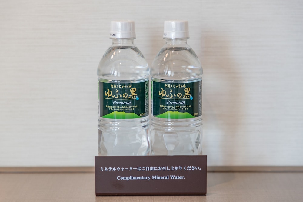 JR KYUSHU HOTEL BLOSSOM HAKATA CHUO photo2