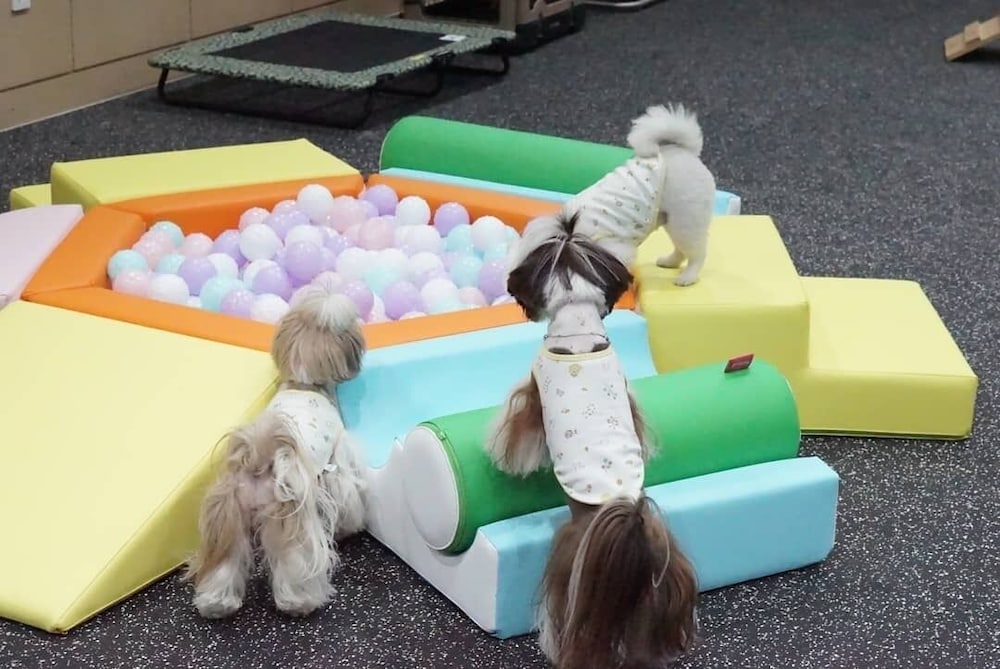 ハイ チェジュ ホテル 写真3