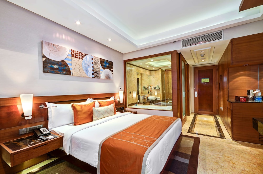 Radisson Blu Hotel Kaushambi Delhi Ncr 21/68