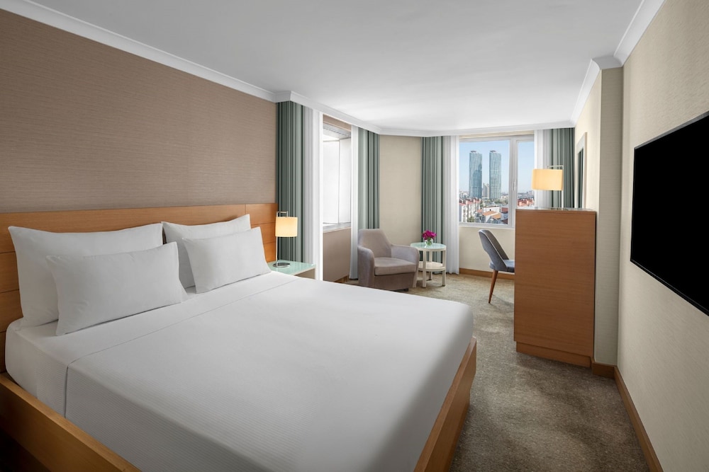 Dedeman Istanbul 27/63