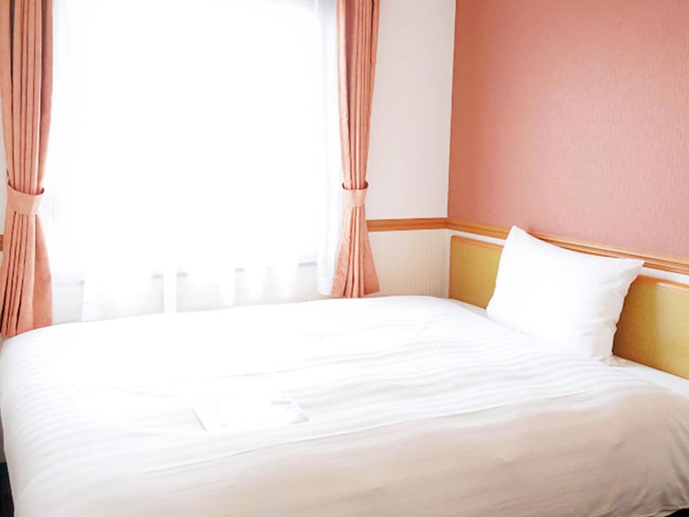 TOYOKO INN BANSHU AKO EKIMAE 12/62