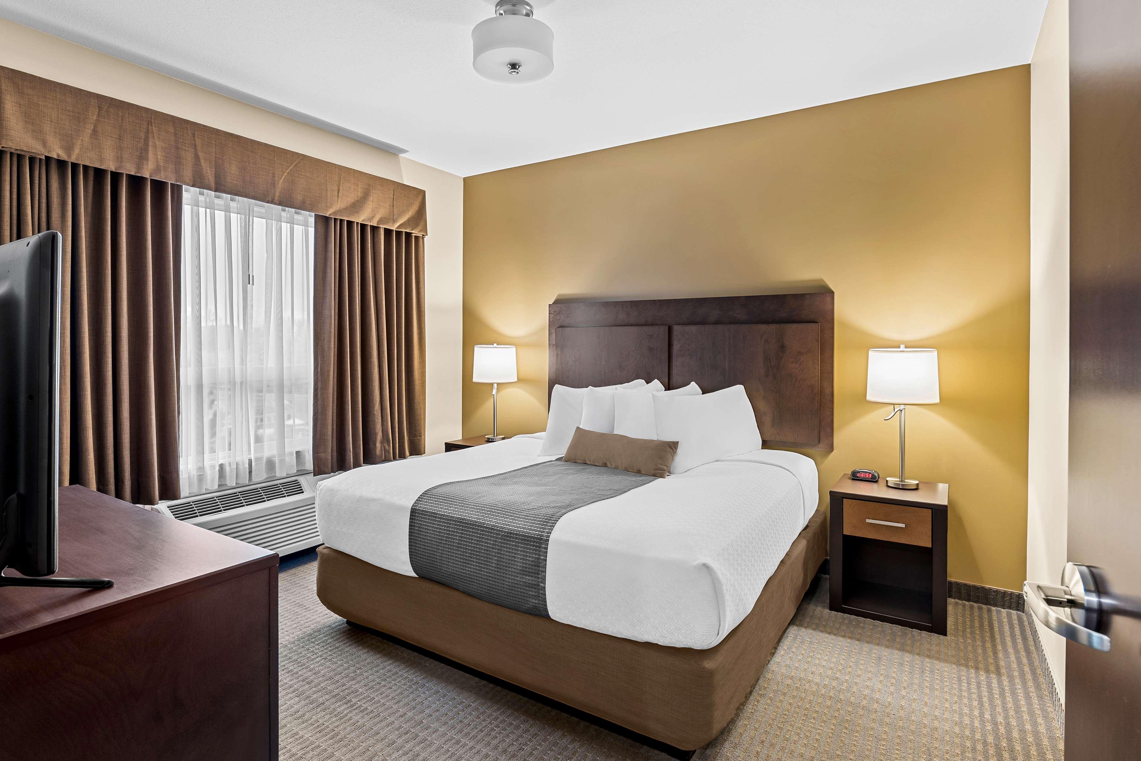 Suite, King Bed, Sofa, Kitchen, Accessible