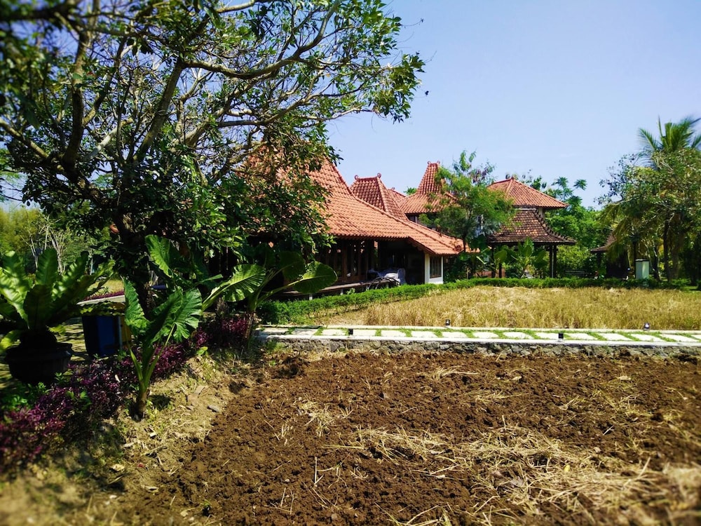 Java Village Resort 46/56