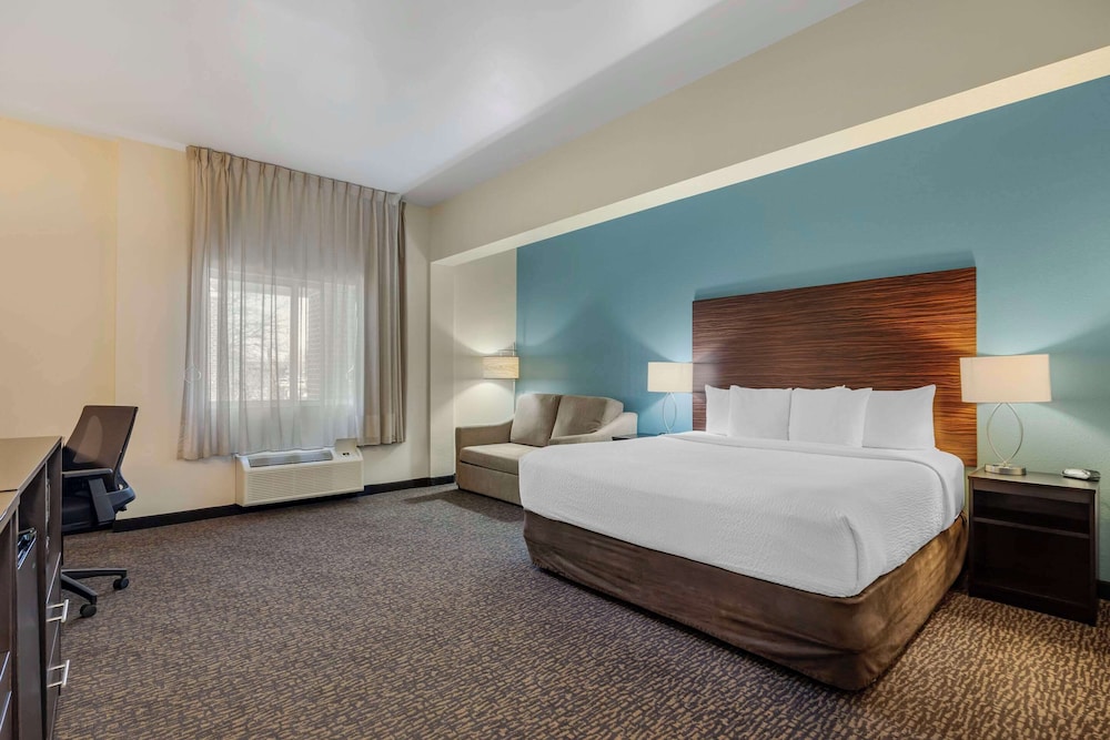 ROOM, KING BED, ACCESSIBLE