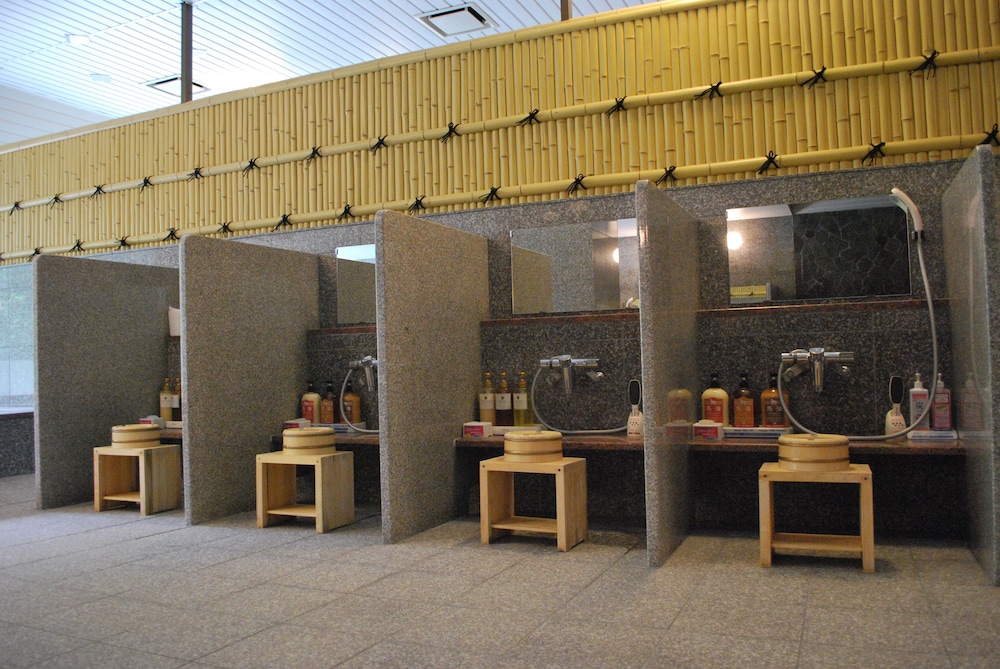 Shin Iya Onsen Hotel Kazurabashi 38/55