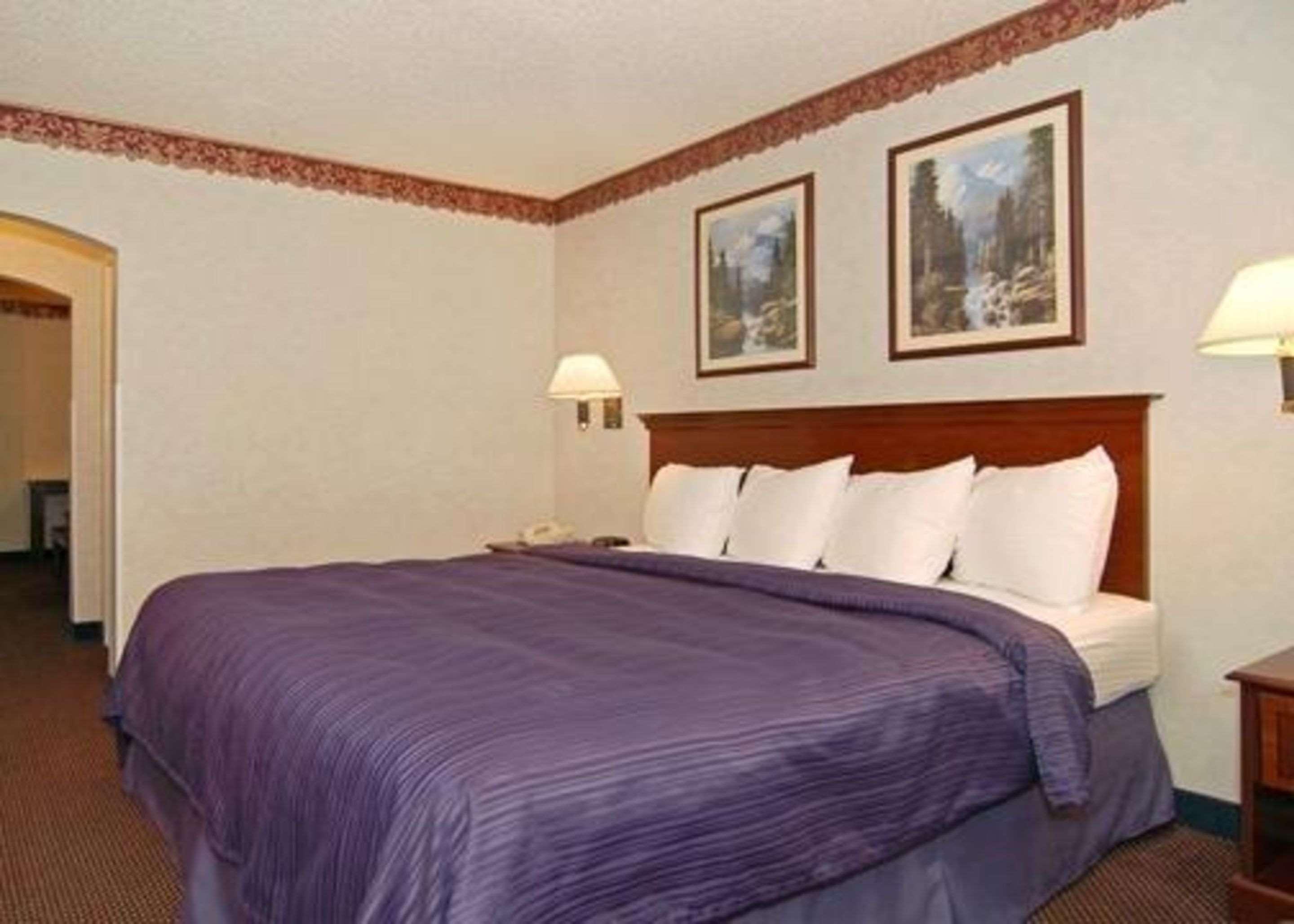 SUITE, KING BED