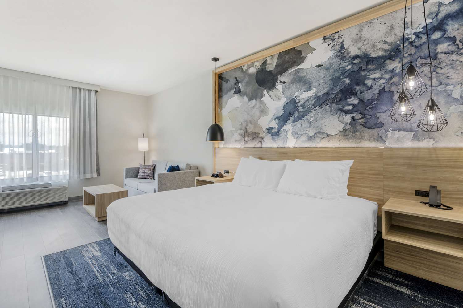 Suite, King Bed, Sofa, Bathtub, Accessible