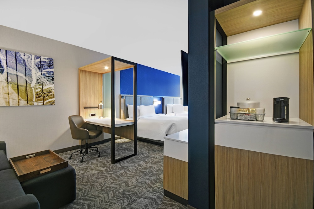 SpringHill Suites by Marriott St. Paul Arden Hills 22/52