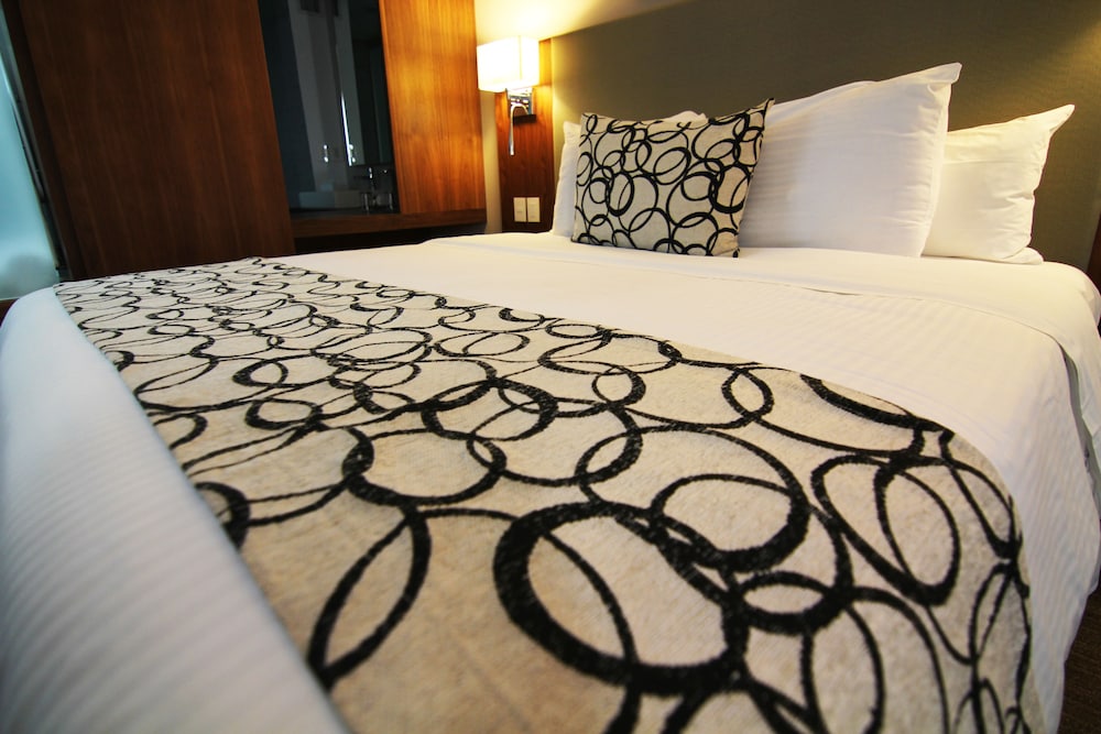 Casa Inn Premium Hotel Queretaro 13/42