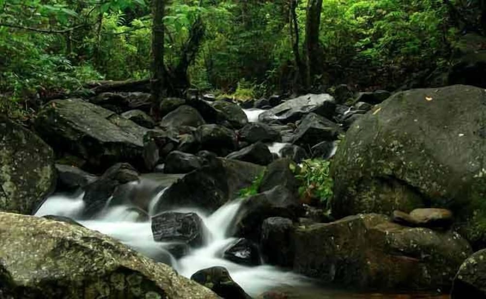 BANASURA HILL RESORT 43/50