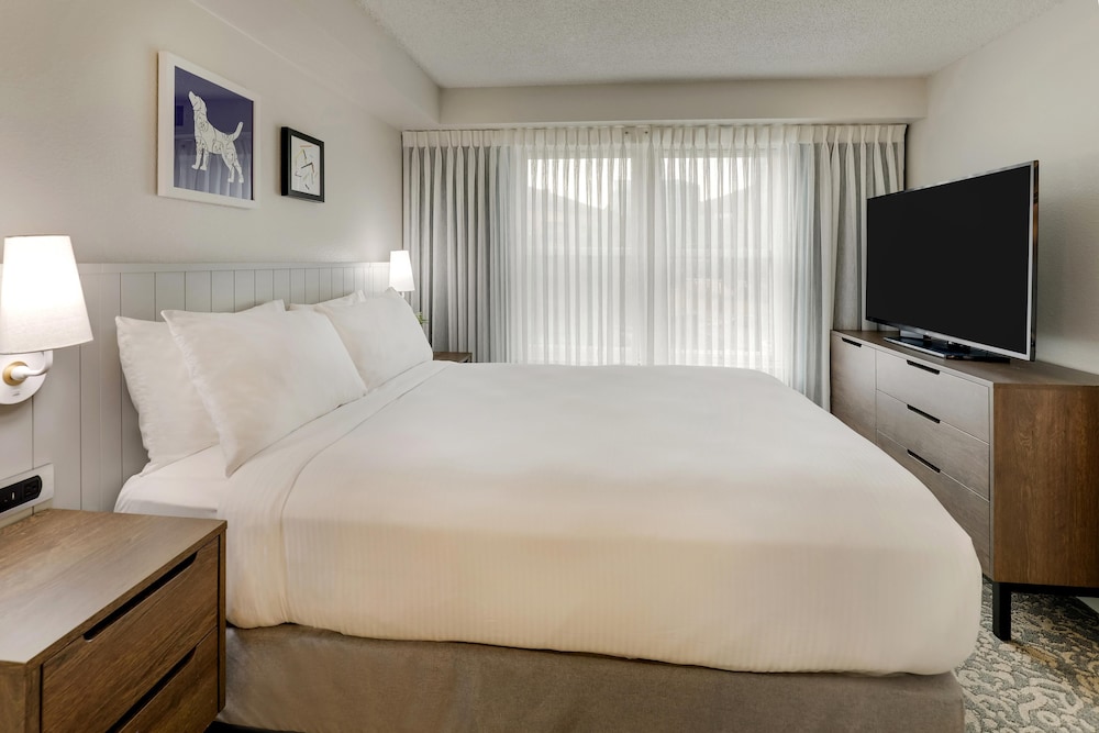 1 BEDROOM, SUITE, QUEEN BED, SOFA, ACCESSIBLE