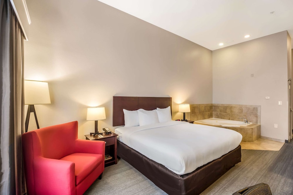 Comfort Inn & Suites Fairburn - Atlanta Southwest 19/45