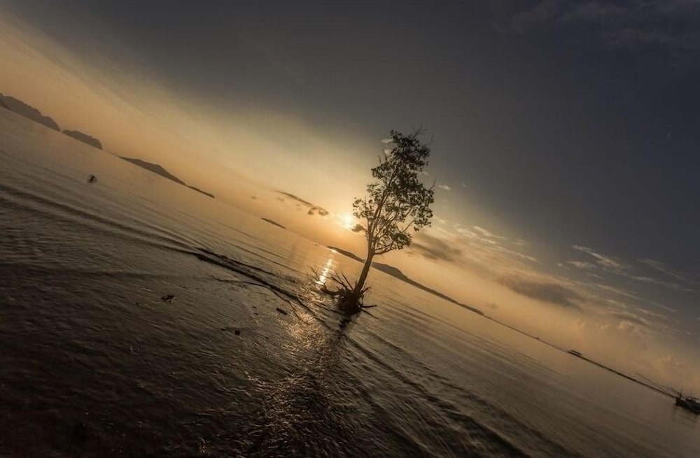 Deep House Seaview 44/55