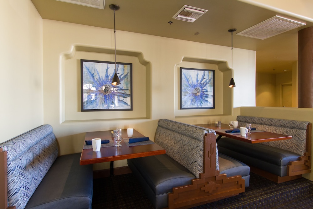 Hilton Phoenix Airport 27/56