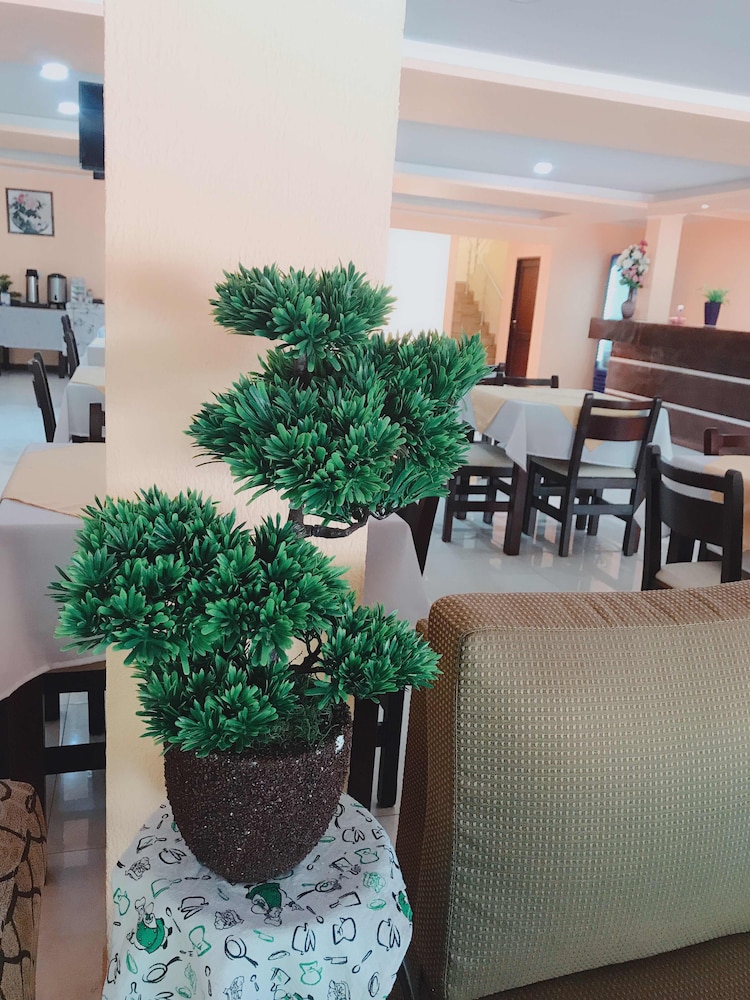 Hotel Amayal 33/50