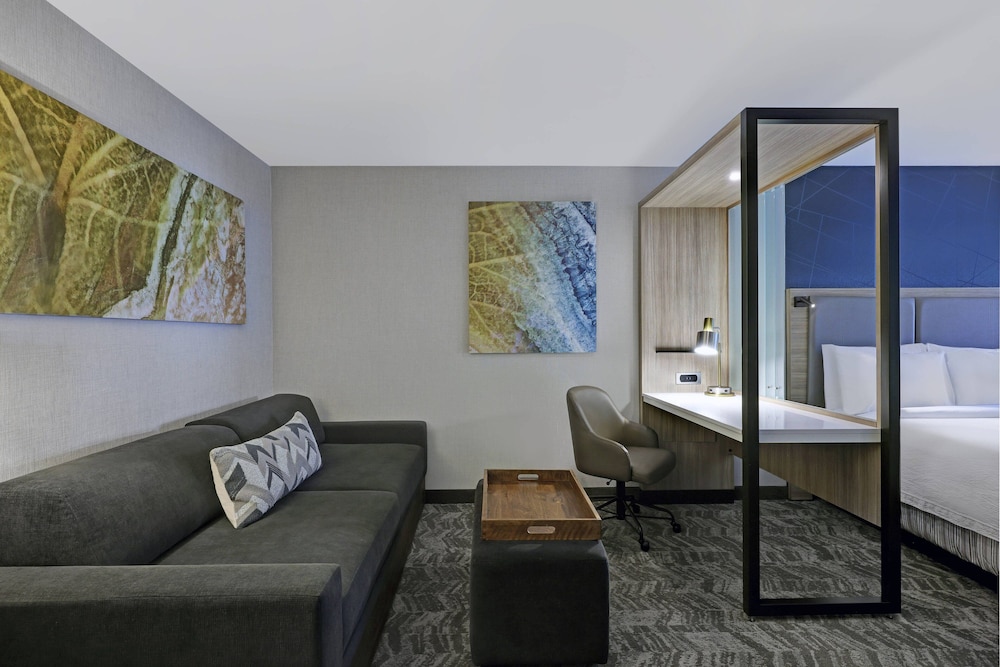 SpringHill Suites by Marriott Palm Desert 33/54