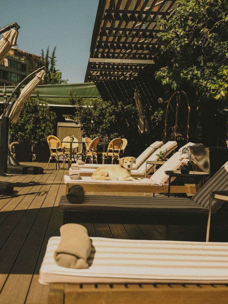 swimming pool spa