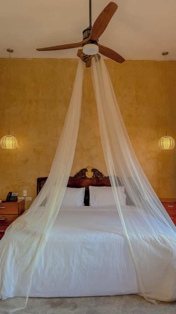 Hotel Boutique Cenote San Ignacio 19/50