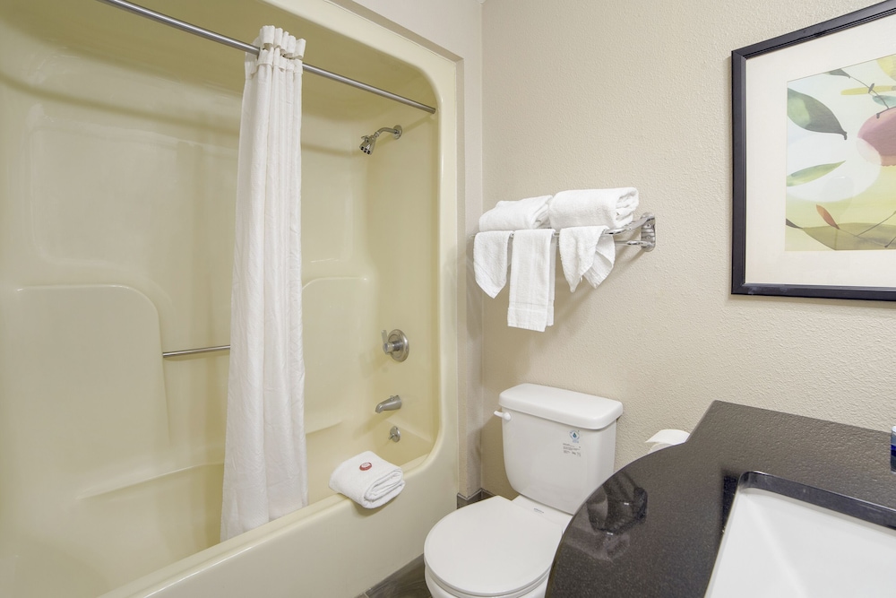 Wingate by Wyndham Columbia/Fort Jackson 49/50