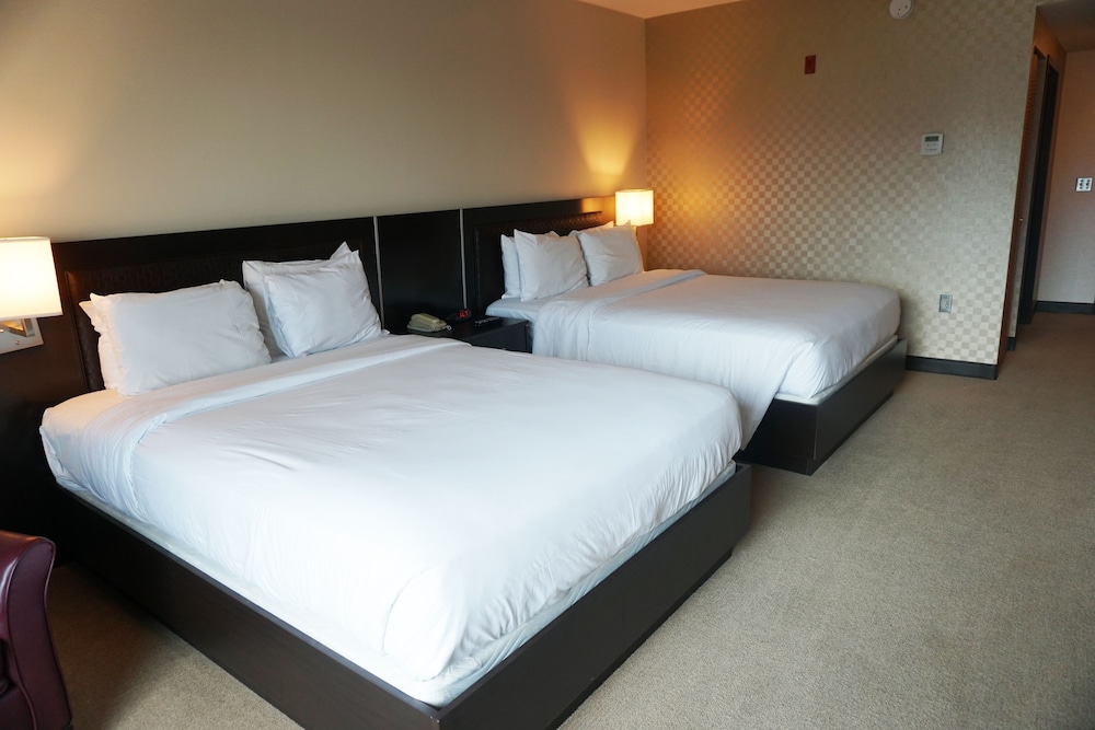 Casino Queen Hotel 12/50