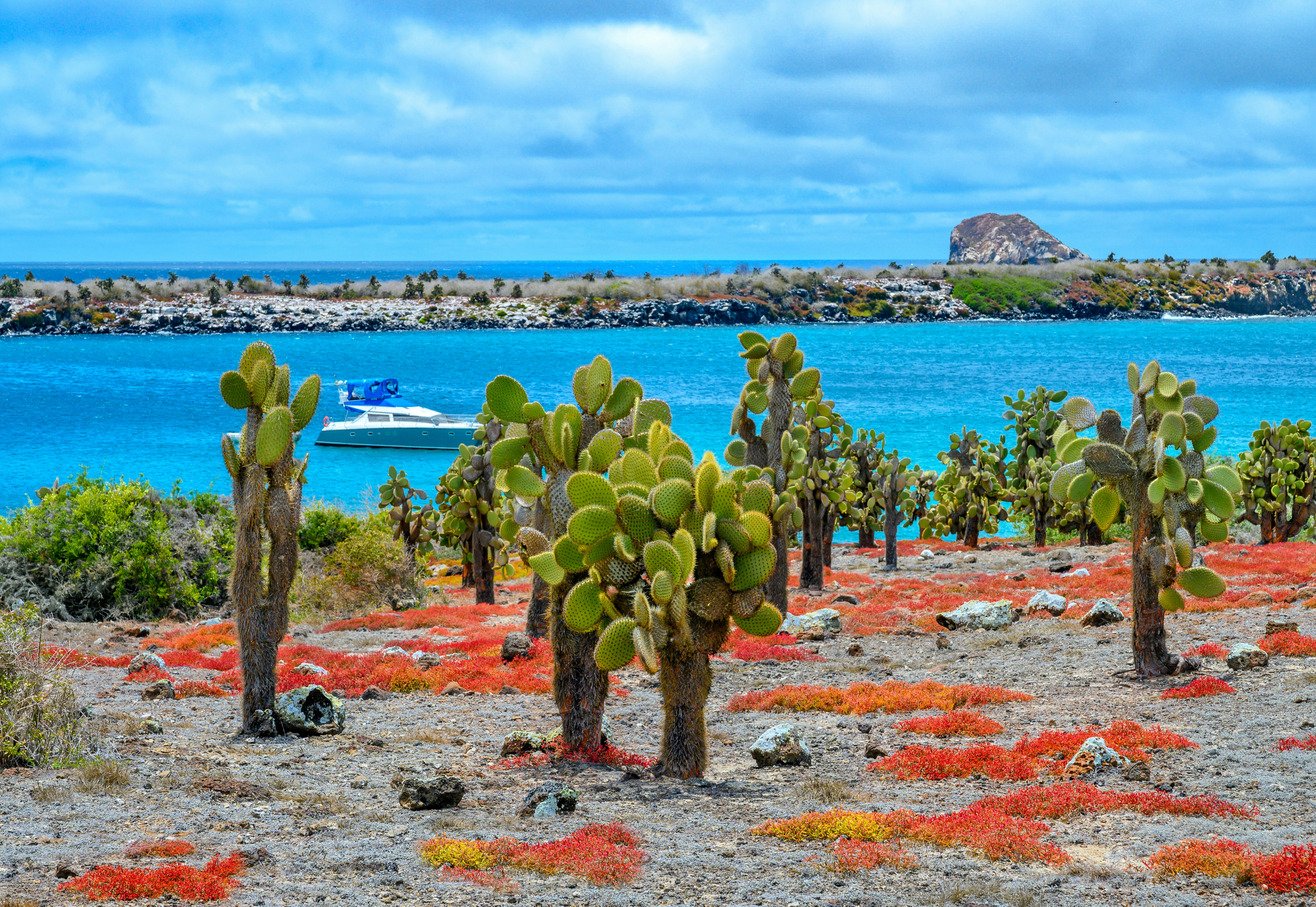 Royal Palm Galapagos, Curio Collection Hotel by Hilton 14/24