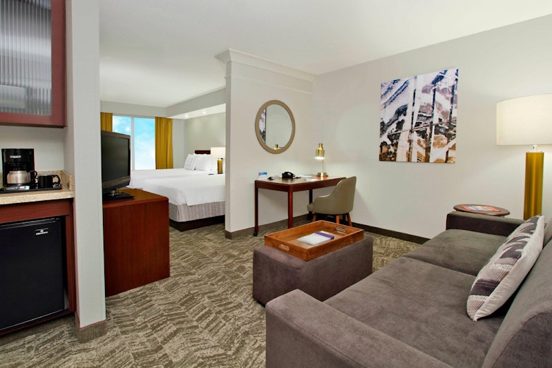 SPRINGHILL SUITES BY MARRIOTT CHESAPEAKE GREENBRIER 22/39