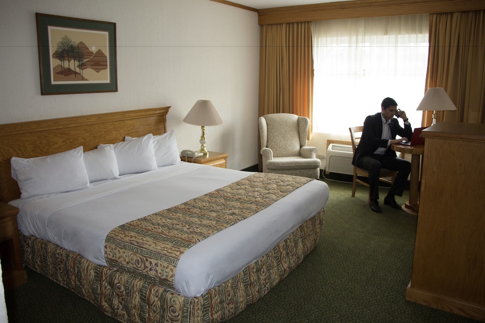 Sicomoro Hotel 19/50