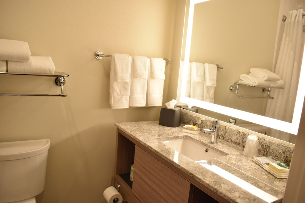 Holiday Inn Kansas City - Northeast 15/55