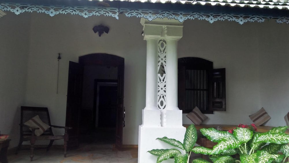 The Jungle House 2/50