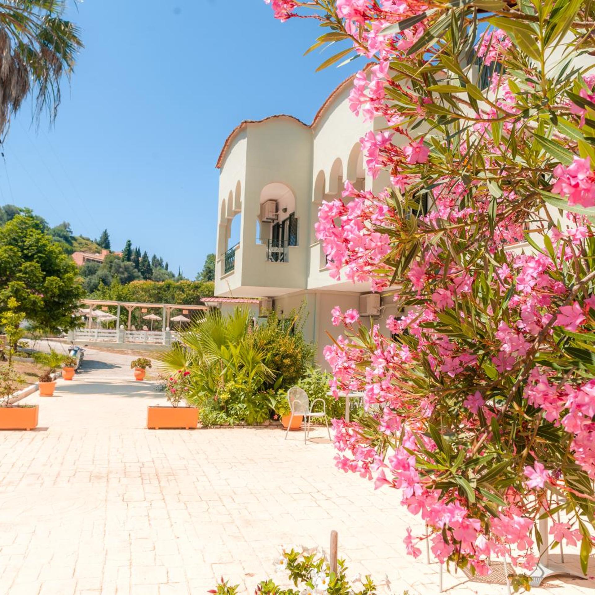 Vassilis Paradise Garden 58/67
