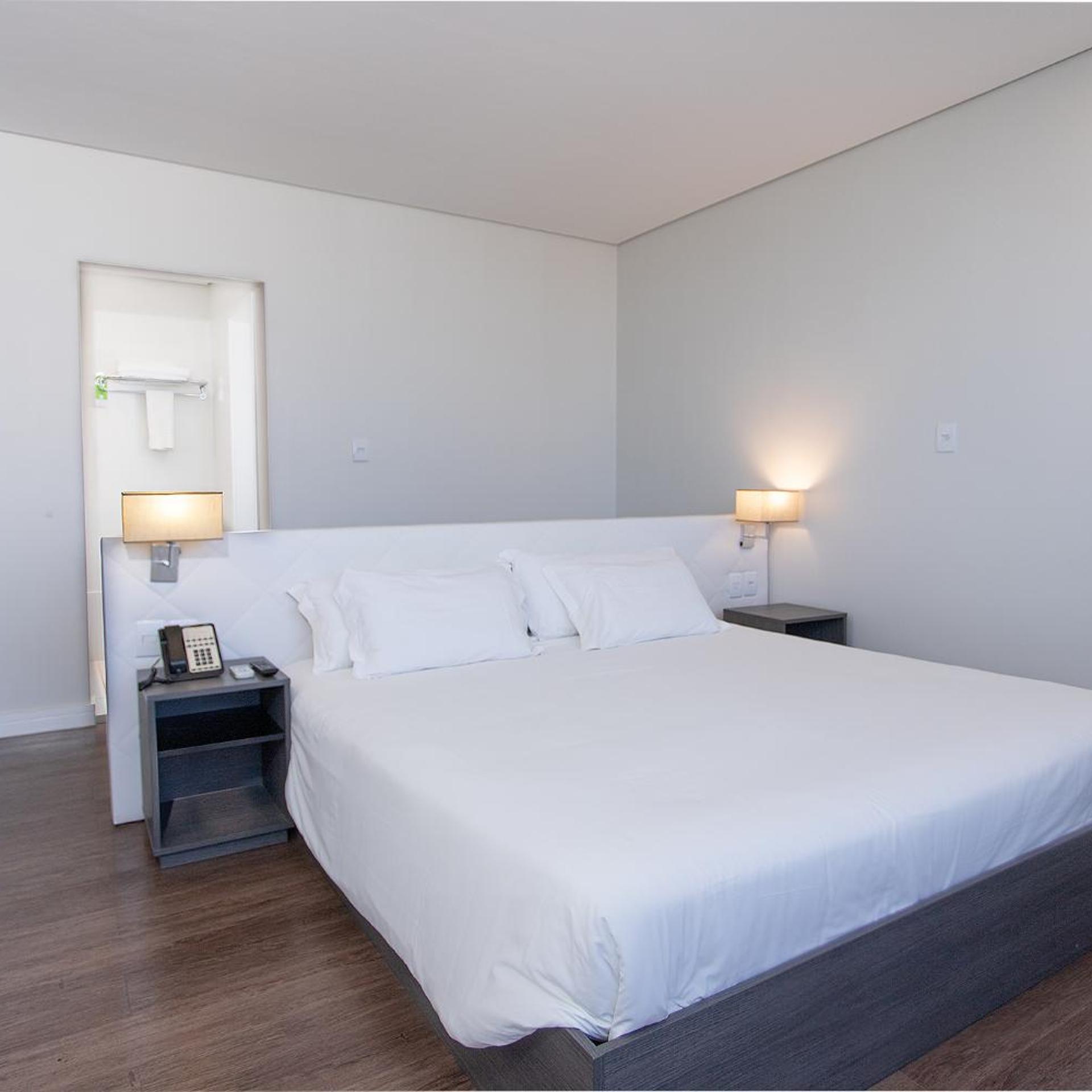 FRATELE BUSINESS HOTEL 17/59