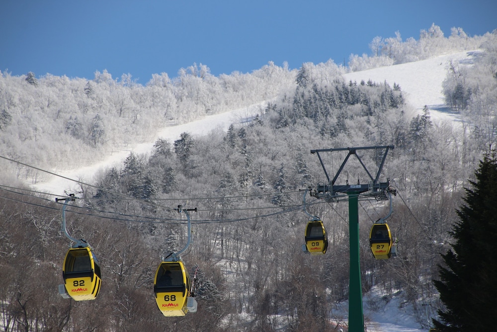 Hotel WBF Grande Asahikawa 46/50