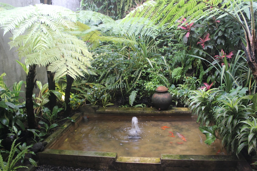 Buton Backpaker Lodge - Hostel 31/60