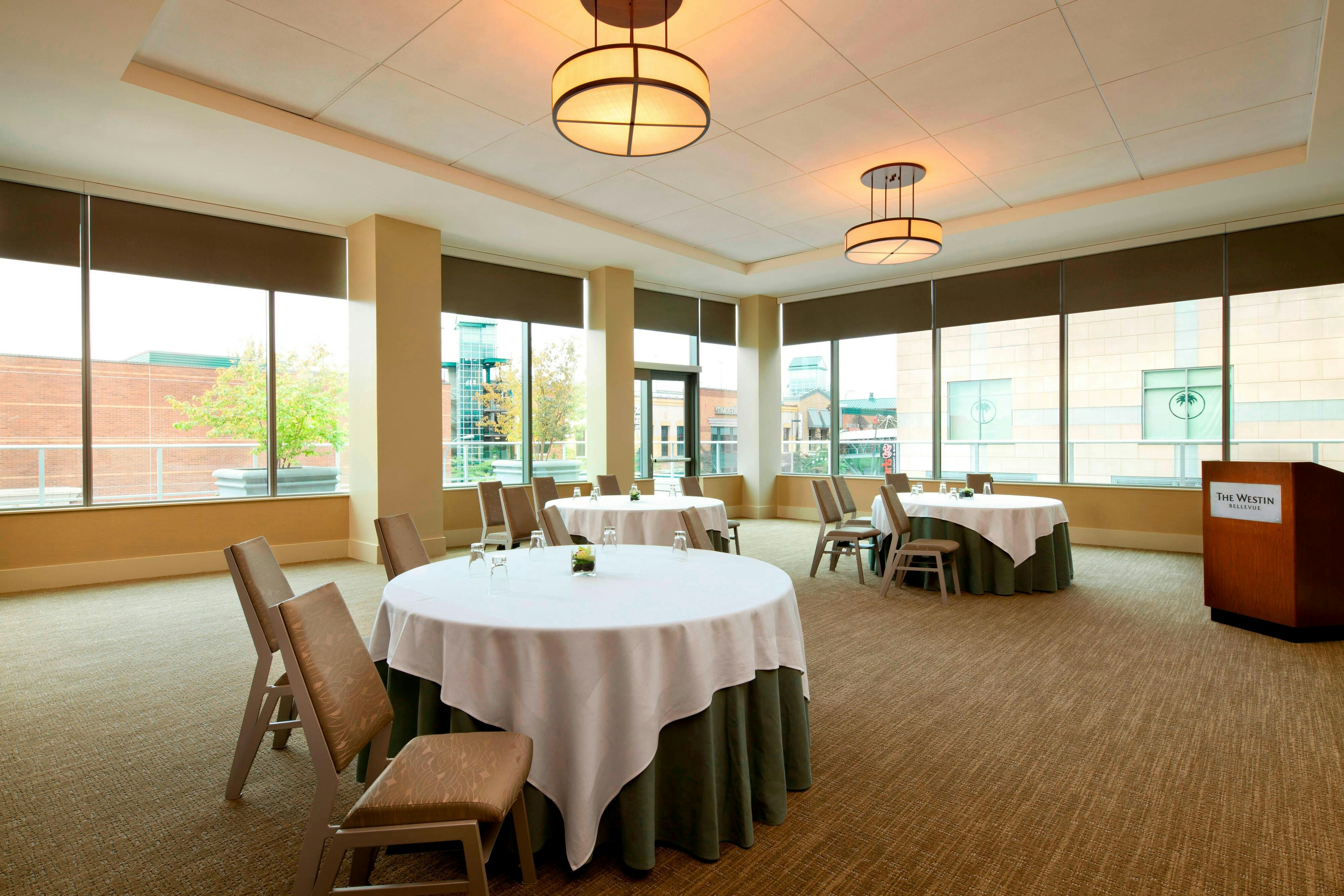 The Westin Bellevue 19/68