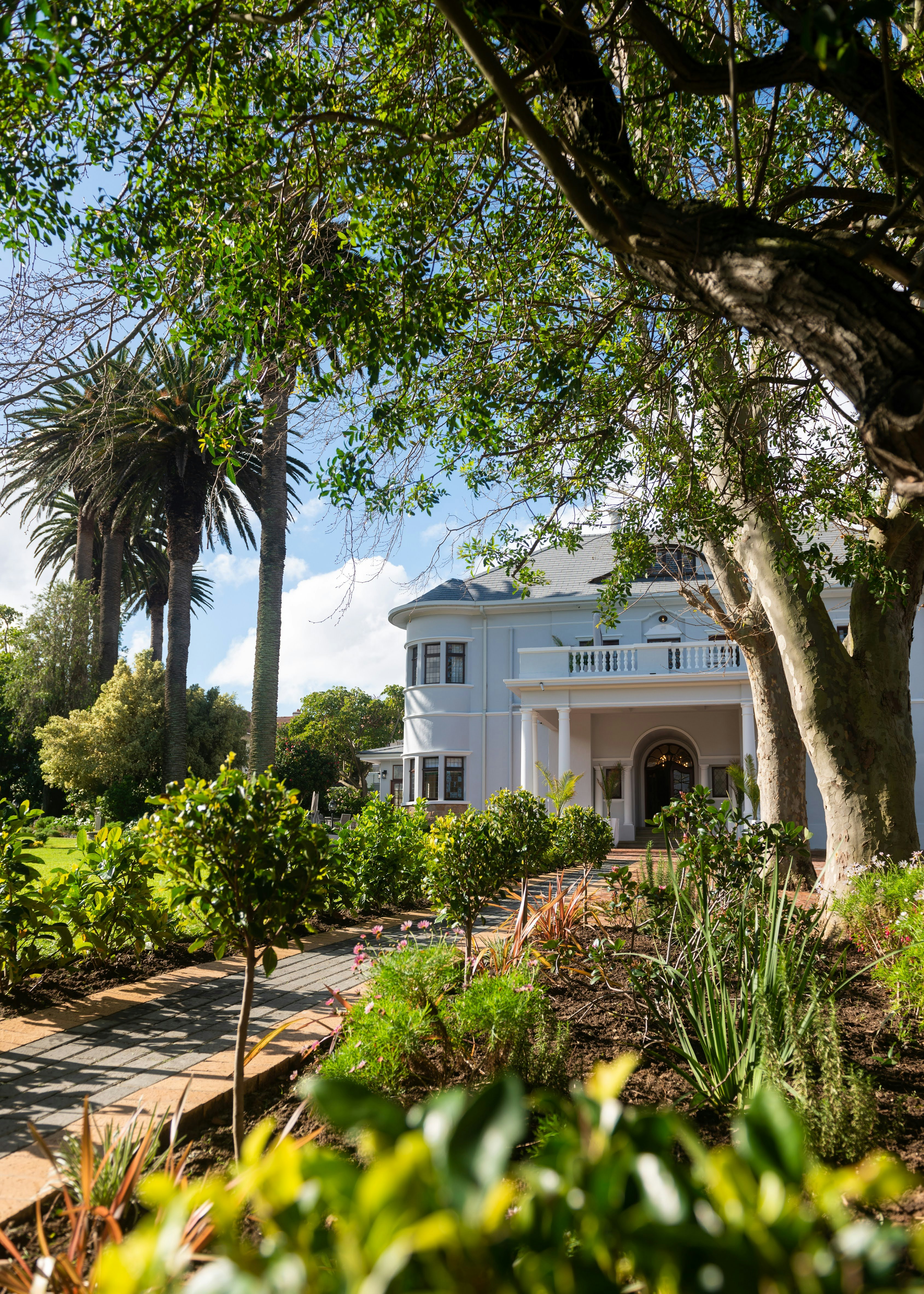 Palm House 40/50