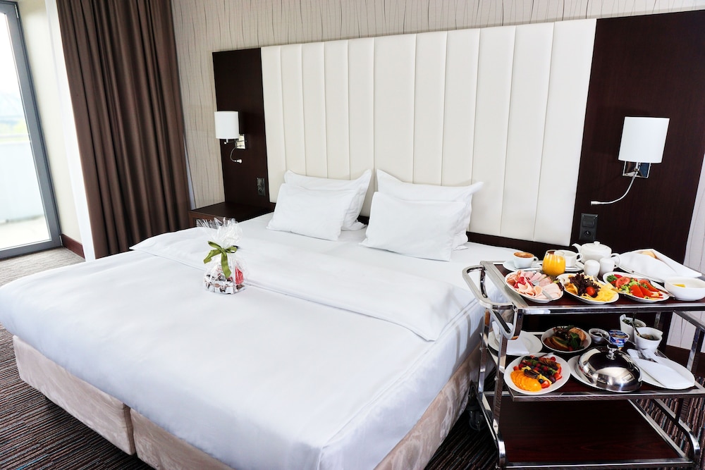 Copernicus Torun Hotel 18/68