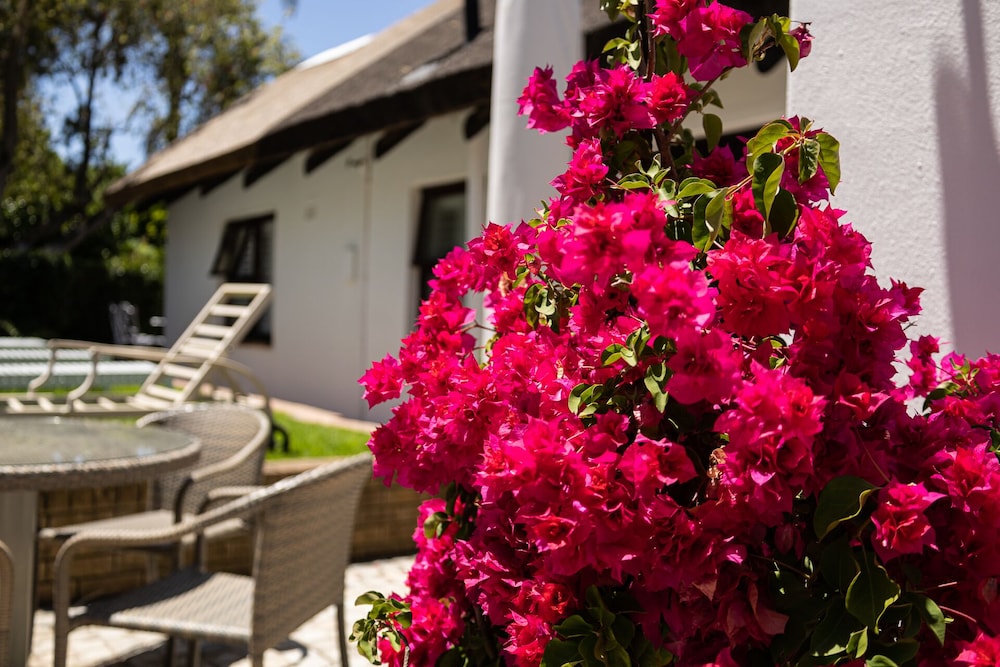 Cape Village Lodge 42/50