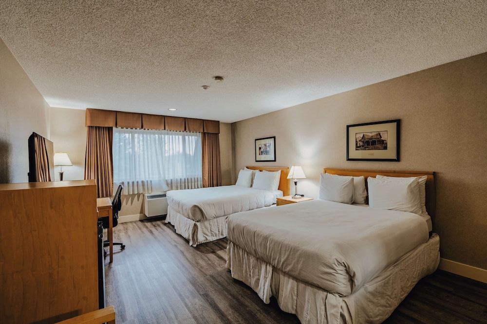 SureStay Plus by Best Western Coquitlam 13/50