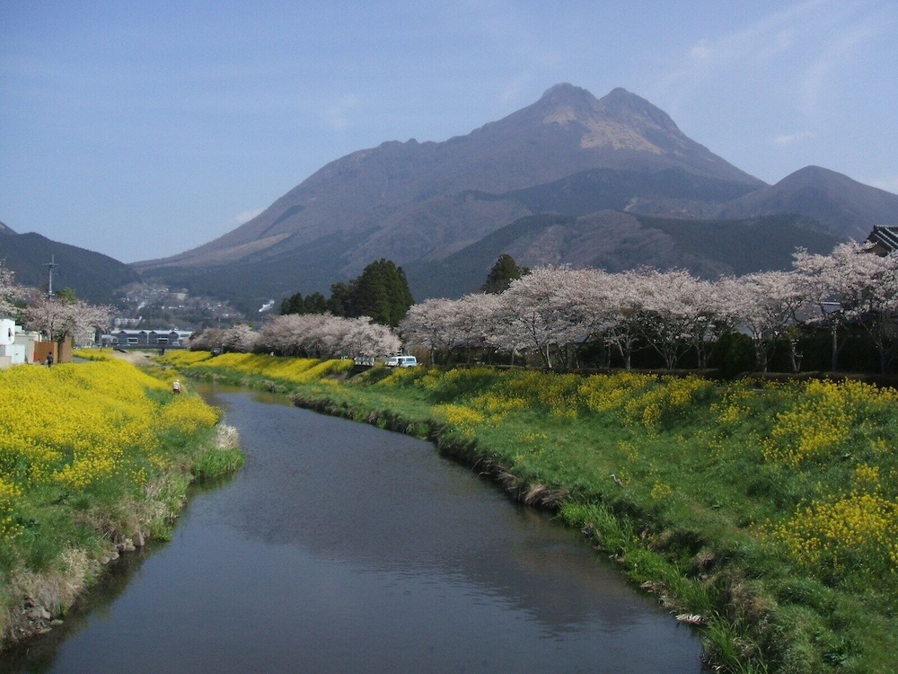 Yufuin Yamaboushi 36/38
