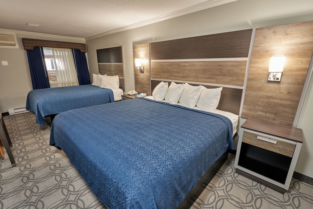 Deluxe, King and Queen Bed, Pool View